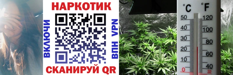 Где купить наркотики Городовиковск АМФЕТАМИН  МЕФ  A-PVP  Кетамин  Гашиш  Кокаин  МАРИХУАНА 
